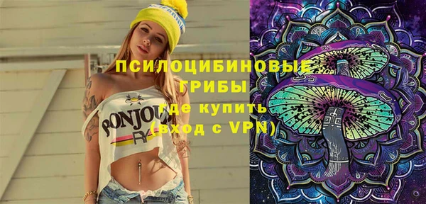 дживик Аркадак