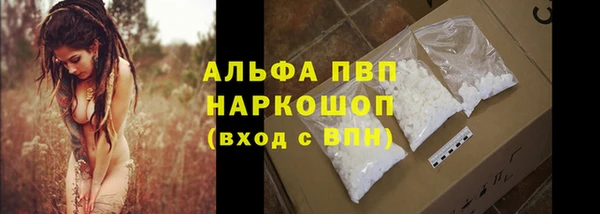 дживик Аркадак