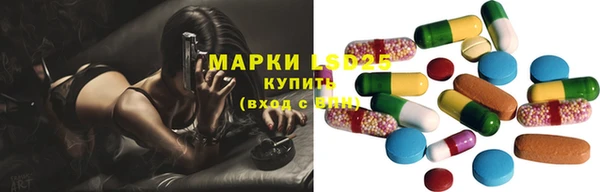 дживик Аркадак