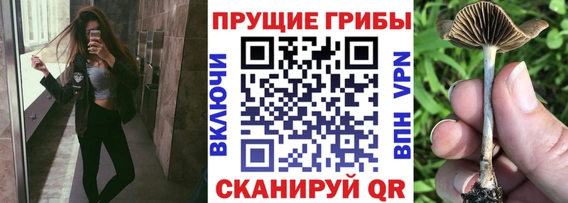 Псилоцибиновые грибы Cubensis  MEGA зеркало  Тейково 